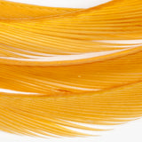 Goose Biots - Amber