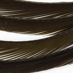 Blue Wing Olive