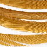 Goose Biots - Ginger