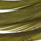 Goose Biots - Light Olive