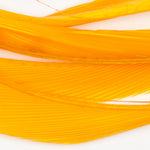 Sulphur Orange