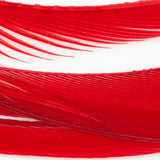 Goose Biots - Red