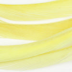 Sulphur Yellow