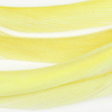 Goose Biots - Sulphur Yellow