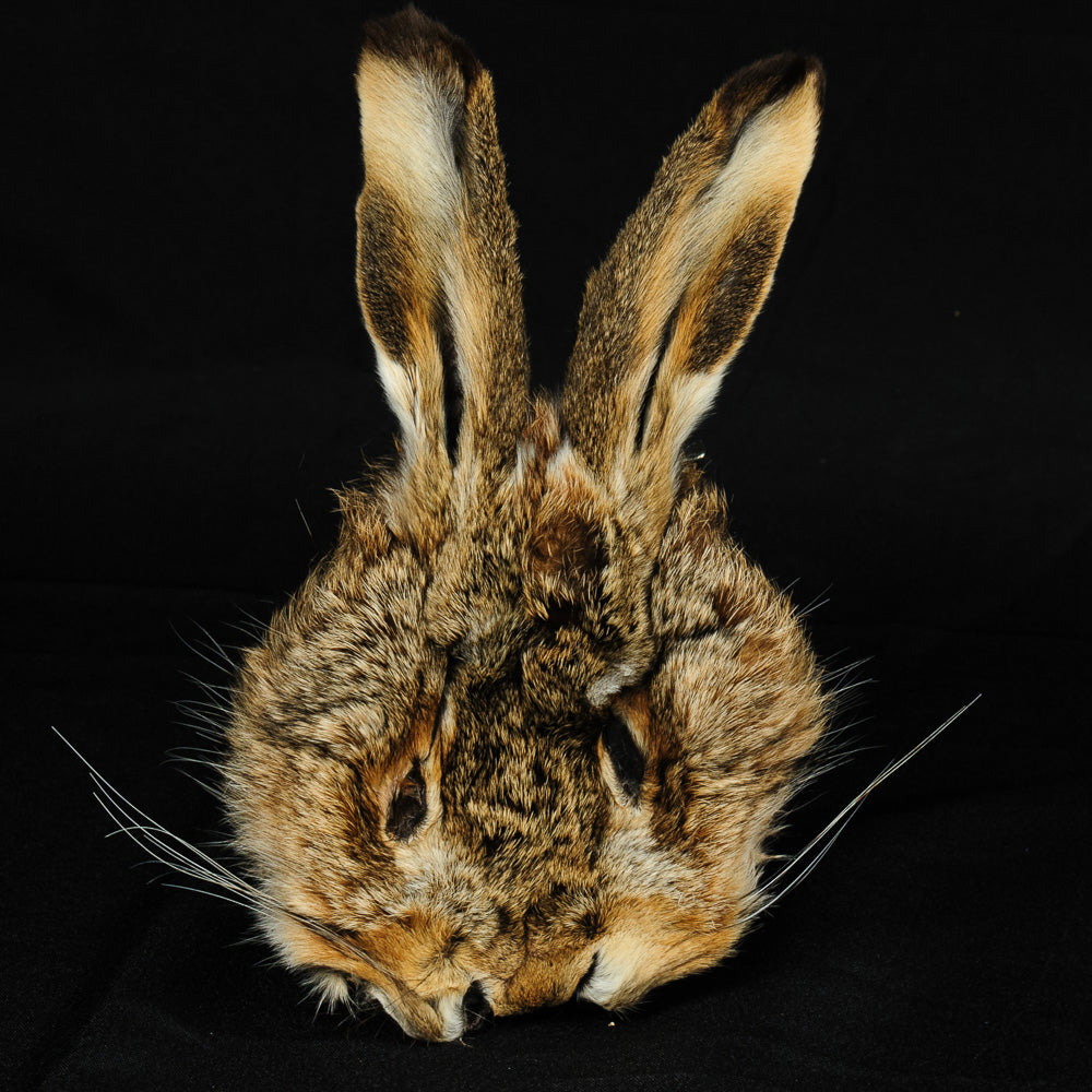 Hare's Mask