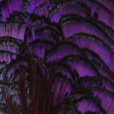 Lady Amherst Pheasant Neck - Purple (APC092)