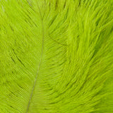 Ostrich Marabou - Fl. Chartreuse (OA509)