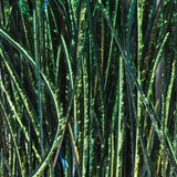 Peacock Herl - Bright Green