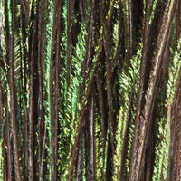 Peacock Herl - Natural