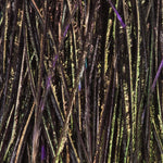 Purple / S