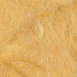 Ginger