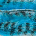 Standard 1/8" / Fl Blue/Black