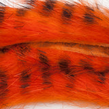 Rabbit Zonkers, Black Barred - Hot Orange