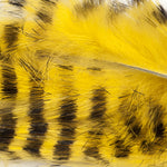 Magnum 1/4" / Yellow/Black