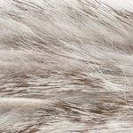 Chinchilla