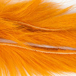 Crawdad Orange