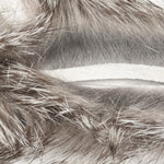 Chinchilla