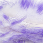 Violet/White