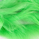 Fl Green