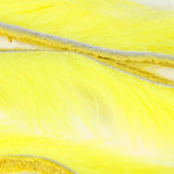 abbit Zonkers, Standard - Fluorescent Yellow