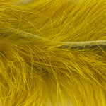 Golden Olive