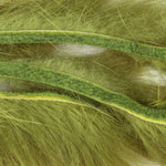Light Olive