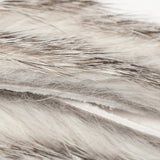 Rabbit Zonkers, Magnum Cut - Chinchilla