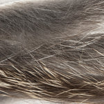 Mouse Gray