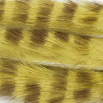 Magnum 1/4" / Light Olive/Olive