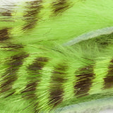 Rabbit Zonkers, Magnum, Olive Barred - Chartreuse
