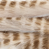 Rabbit Zonkers, Magnum, Olive Barred - Flesh