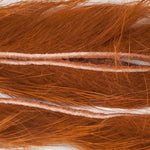 Rusty Brown