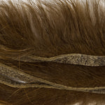 Sculpin Olive