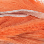 Shrimp Pink