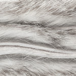 Chinchilla