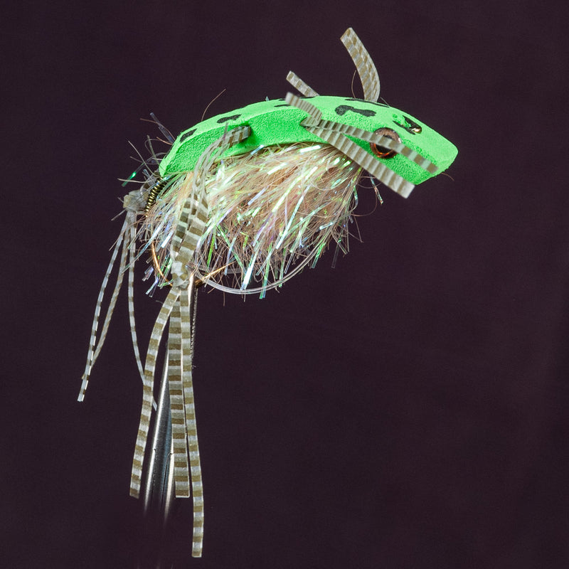 shimmy-frog-leopard-3_800x.jpg