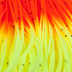 Chartreuse/Fire Orange Tip
