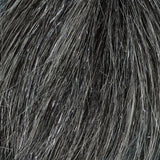 Squimpish Blend - Dark Gray