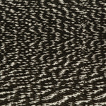 Black, Mottled Bustard