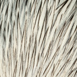 Whiting American Rooster Cape - Black Laced White