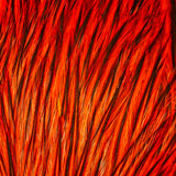 Whiting American Rooster Cape - BLW Dyed Orange