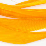 Goose Biots - Sulphur Orange (SG129)