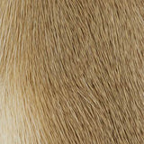Deer Hair, Premium - Bleached (PDS026)