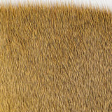 Deer Hair, Short and Fine - Yellow (006)