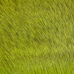 Deer Body Hair - Fl. Chartreuse (DBH509)