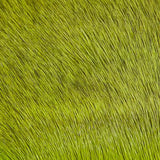 Deer Body Hair - Fl. Chartreuse (DBH509)