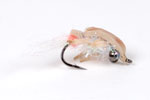 Sand Flea/Mole Crab - Size 2