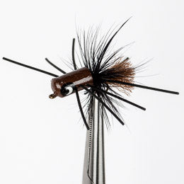 Bea Bea Bug | Orlando Outfitters