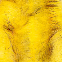 MFC Bunny Brush - Yellow/Orange, Barred
