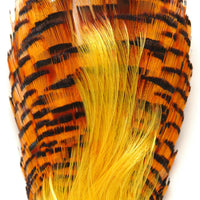 Golden Pheasant Neck